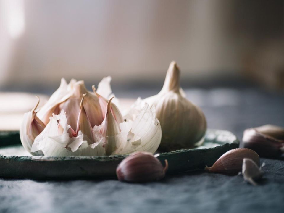 Как вырастить чеснок в пластиковых бутылках: простой способ для домашних условий