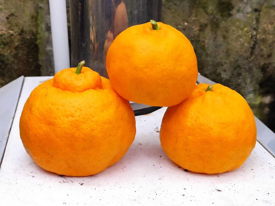 ���������� �� �����������: ��� ������� ������ ����� ��� ��������� ����