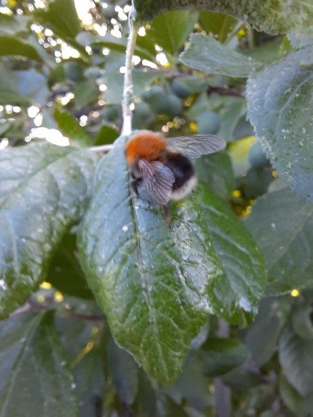 ����� � �����: ����������� ��� ������ ������ ������ �����?