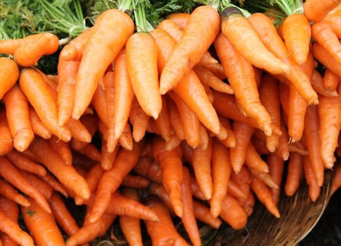 ��� ��������� ������������� �������� � �������: ������� ��������� ������