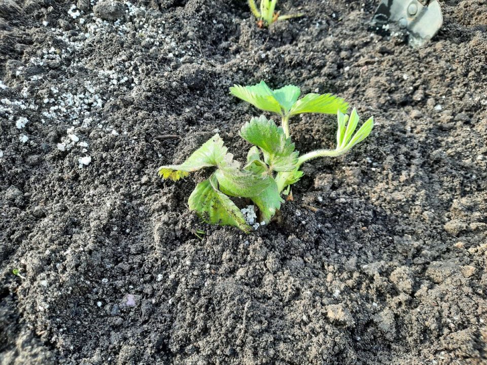 ������� �������� ������� ������� ���������