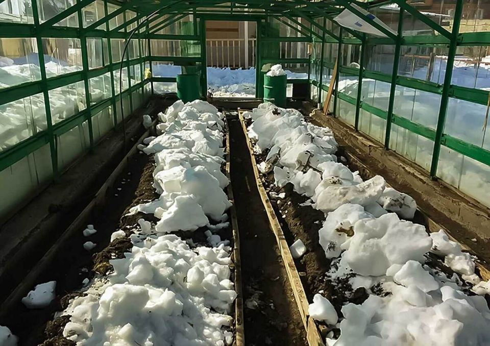 ����� ���� � �������: ������� ��������� ������� ������� ��������