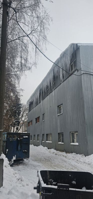 Спокойное объяснение ухода за периметром: очистка вблизи края на 1,5 метра