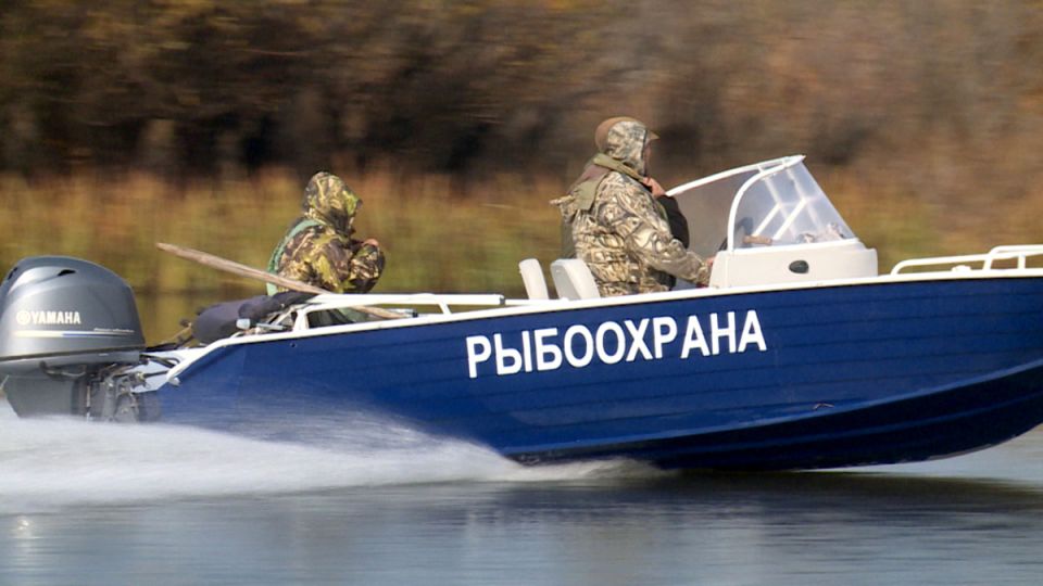 ����� ���������� ���������� �������� �������� ������ ������ ����