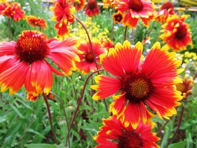 ����� ������� � ����� ����: ��������� ��� ��������� ����� ��� ������