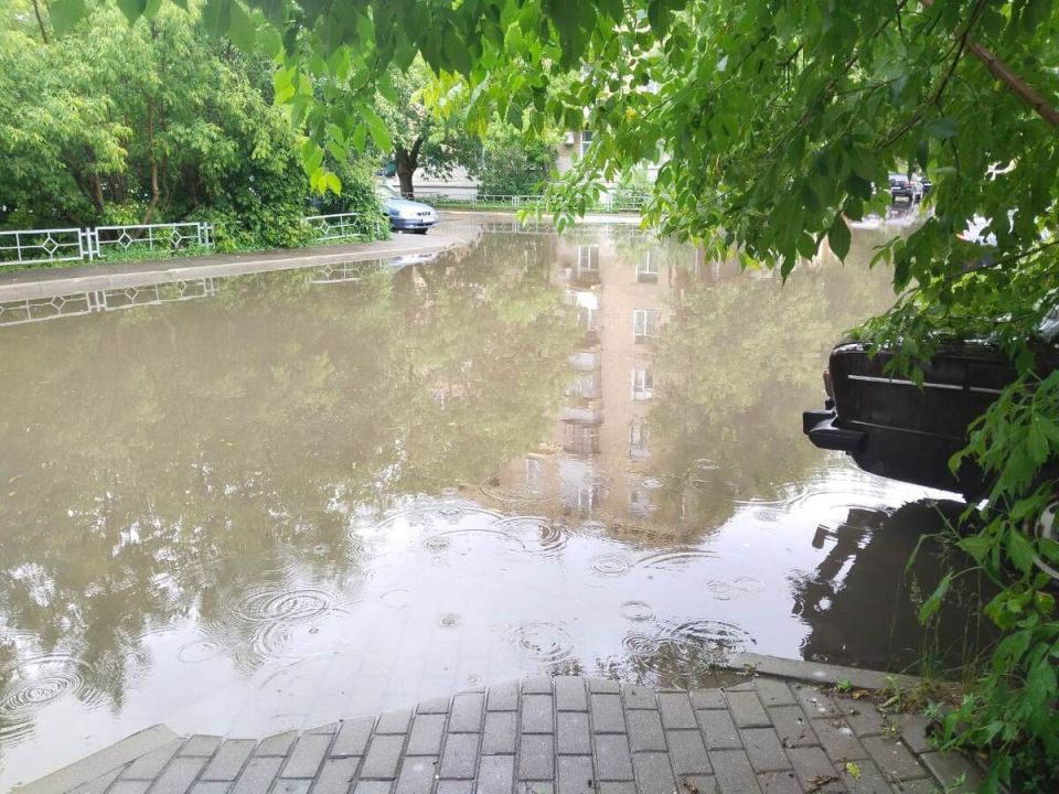 ���������� �����������: ��� ������� � ���������� � ������ ������������