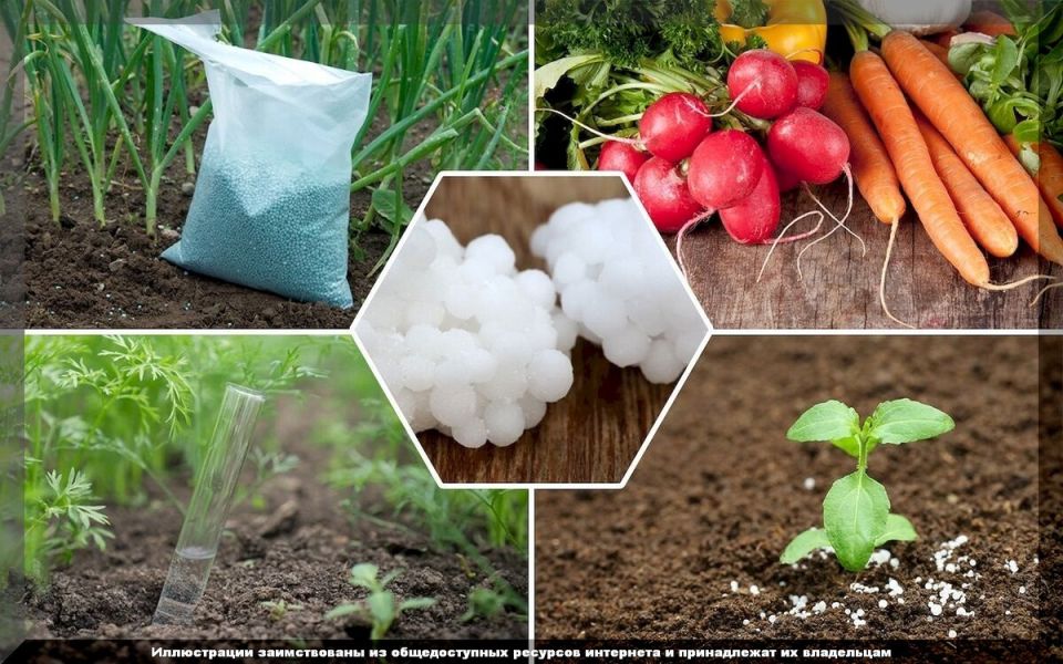 Неочевидные факты об удобрениях, которые могут повлиять на ваш урожай