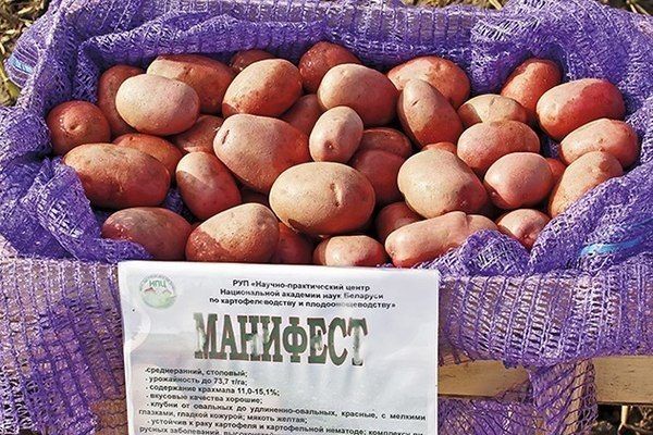 ��������� ��������: ��� ���������� ��������� � ������� ������