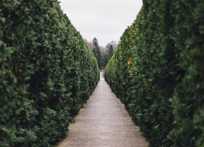 ������������ ����� �������� ��� ���������� ����