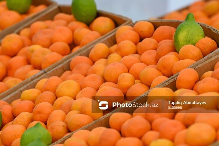 ��� ����� �� ������ ������ ��� �� ���������� � ������������?