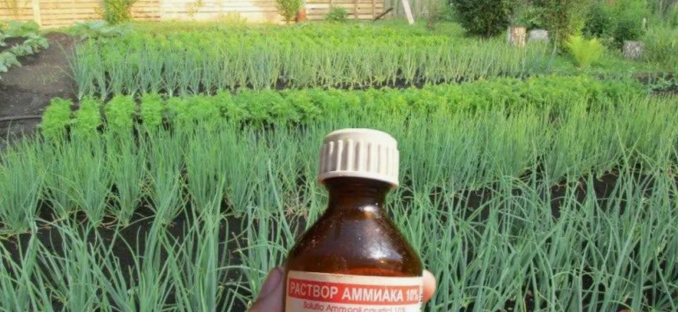 ����������� ������������� ����������� ������ ��� ��������� �������� ������ ����