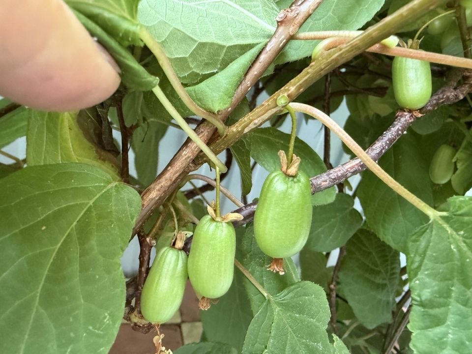 ��������� ��� ����� ���������: ��� ���������� ��������� � ����������� �������