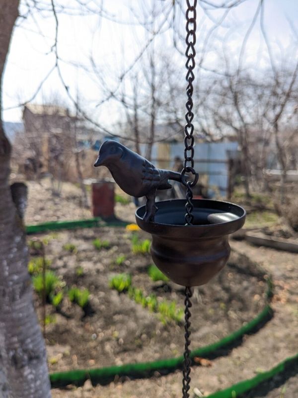 ��� ��������� ������� ��������� ��� ����: ������ � ������ ���������