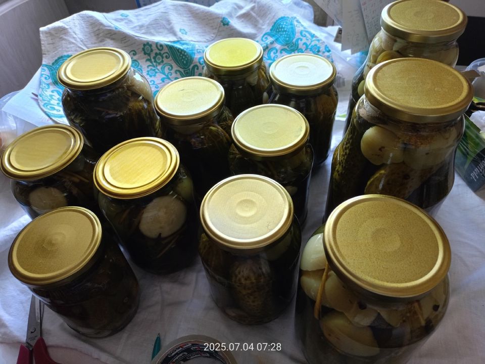 ��� ����������� ��������� ������-������������ ������ �� ����