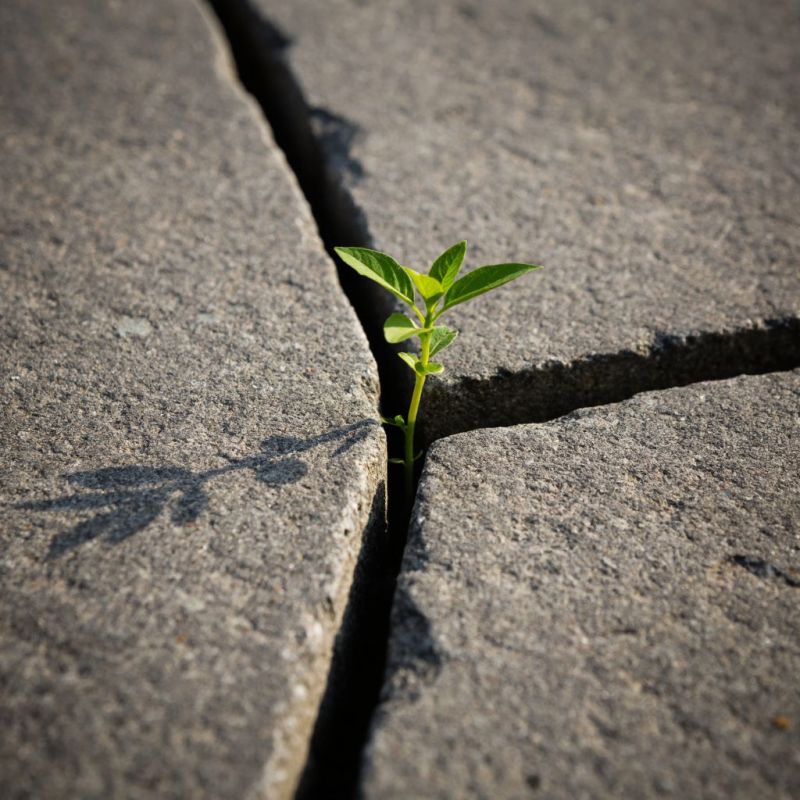 ����� ��� ���������: ��� ������������ ���� ���������� ������������ ���������