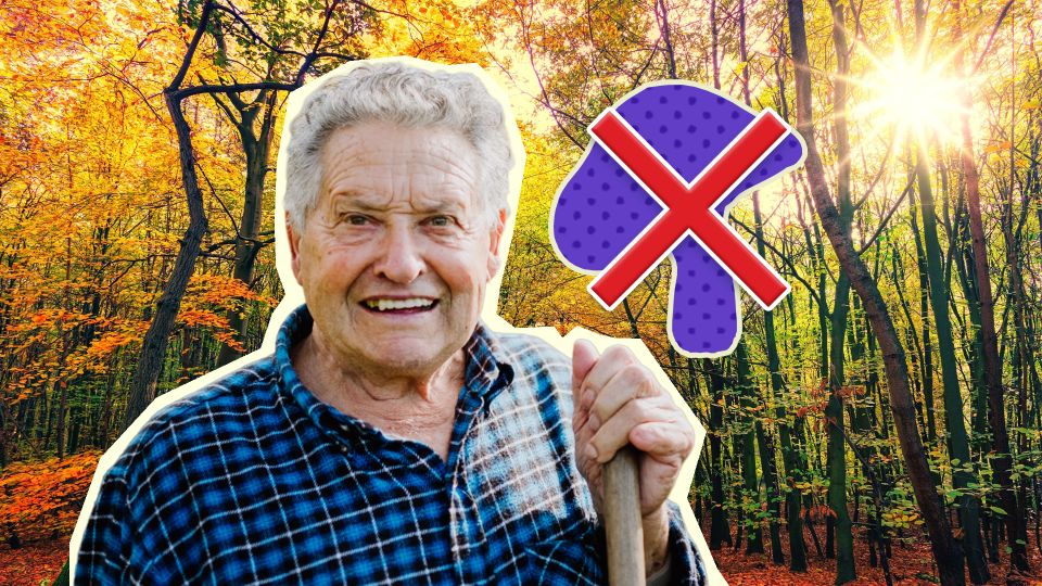 ��� ����� ����������� ����� � ������� ����� ������������� ������: ����� ��������� �������