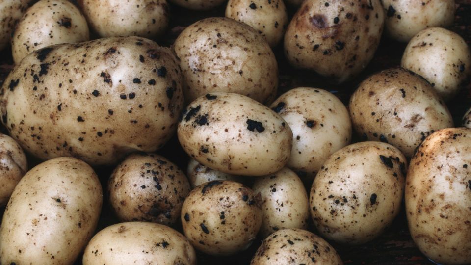 �� ����� � �� ��������: ������ ������� ������ �������� ������ ���