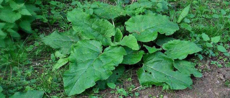 ����� � �� ��������� ������ �� ������������� ���������