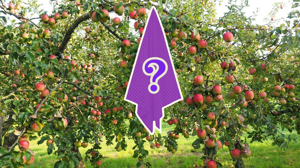 ������� � ������� �� ����������� � ����� ����: �������� �� ������� ������ ������