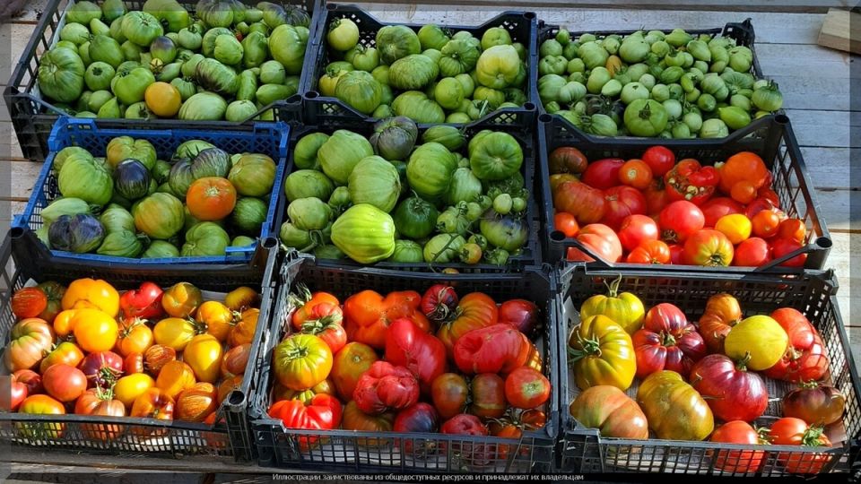 ������ ����� ������� ��� ������ �������: ������ ������� ��������