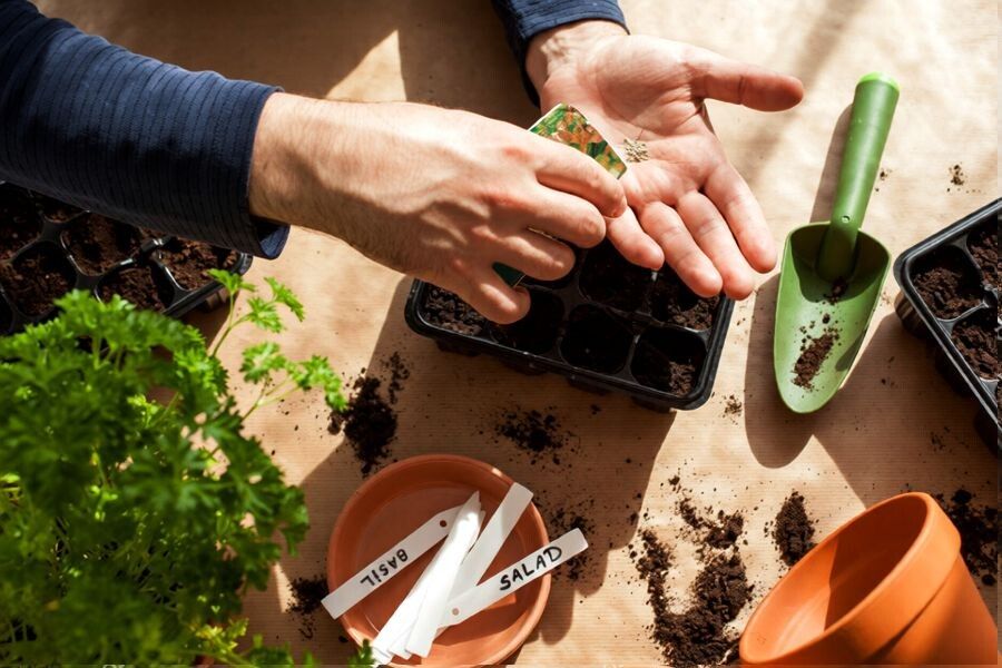 ����� ����� �� �������: ��������� ��������� ��� ��������