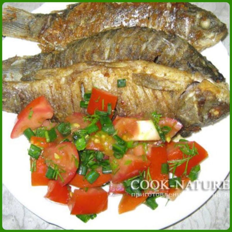 ������� ����: ���� ��� ������������� ������ � ������ �������