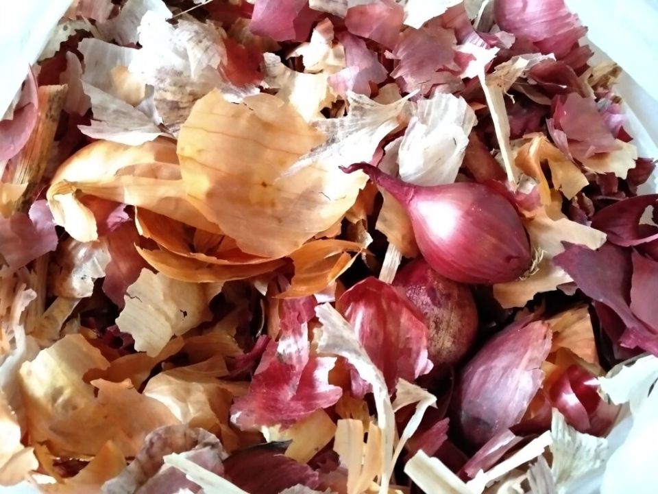 ������� ������: ������������ ��������� ��� ����� ��������