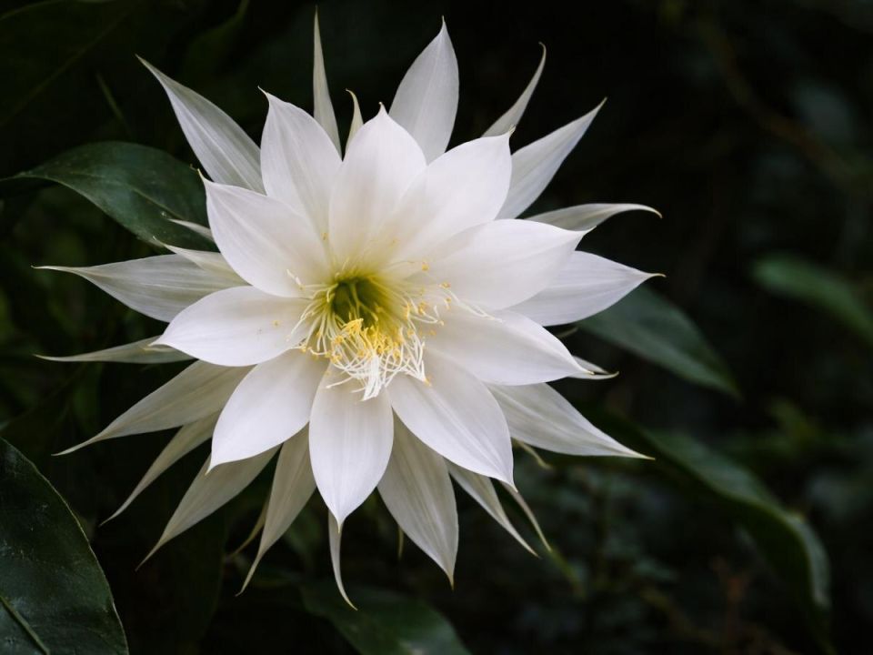 �����, ������� ������� �������� ����: ���������� �������� ������ �������