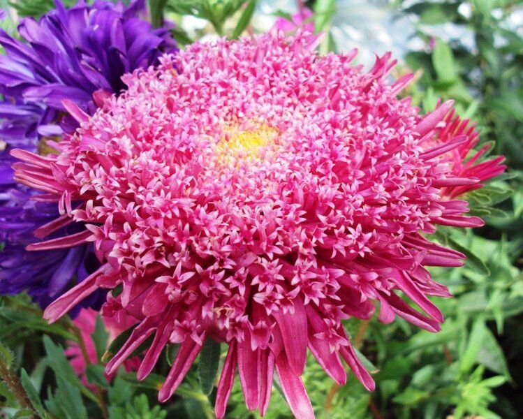 ������� �������: ��� ������������ ����� ������ ��� �����������