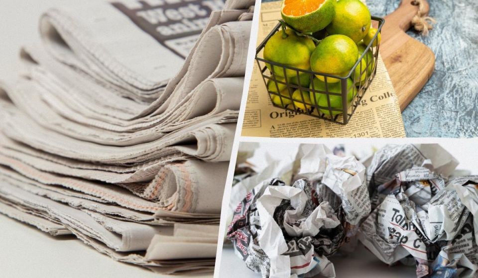 Как старые газеты могут стать полезными помощниками в вашем доме и саду