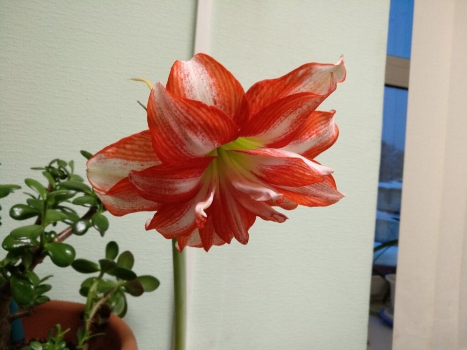 ������ ��� ��������� �� ������? ������� ������� � ������ �� �����