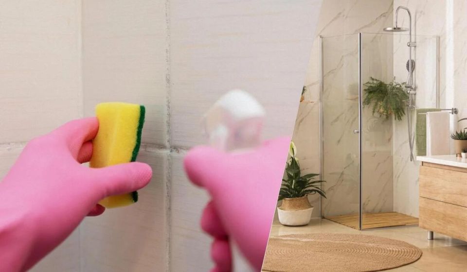 ��� �������� ������ ������� �� ������