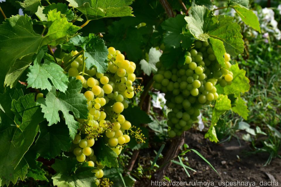 ����� � ������������: �������� ����������� �������