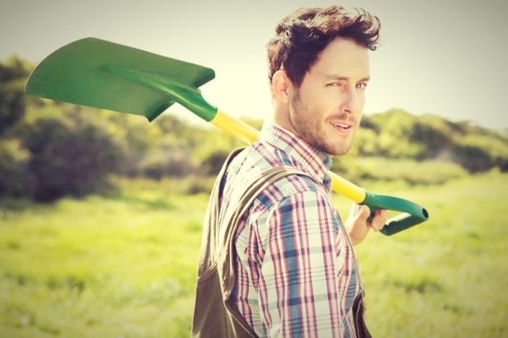 Госдума предлагает холостякам выбор: свадьба или работа в Сибири