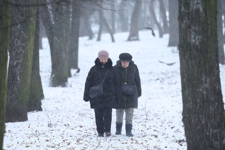 Кто и как получает пенсии в Беларуси и России: свежие данные от Минтруда