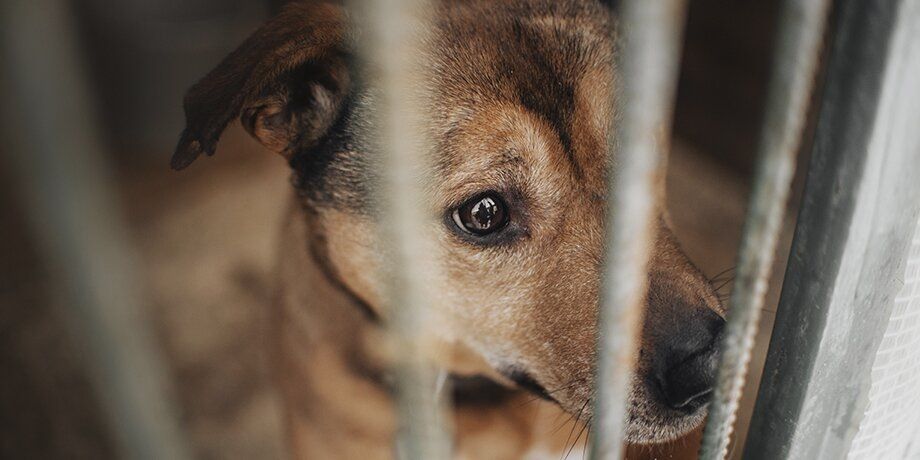 �������� ���������� ��������� ������������� �������� � �����