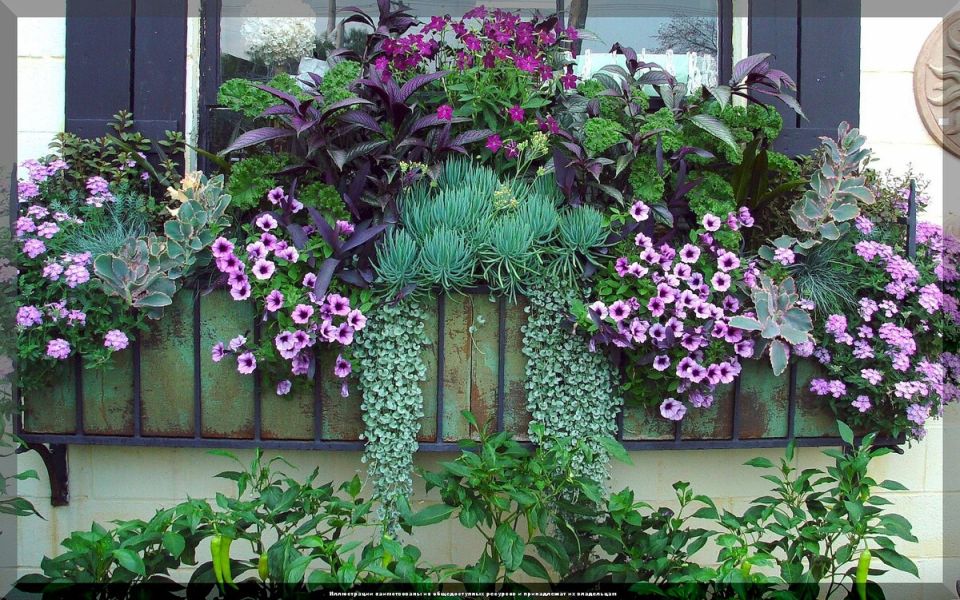 ����� ��� �������: �������� ��� ���� 30 ��������� ������� ��������