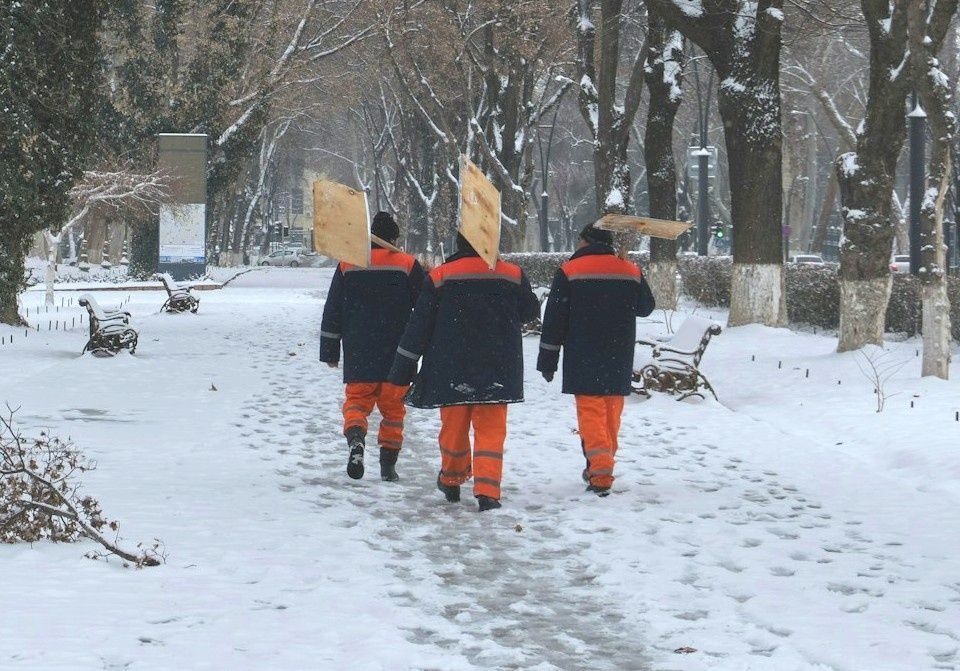 ���� � ������: ��� ����������� �������� ������ ������� ����� �� �����