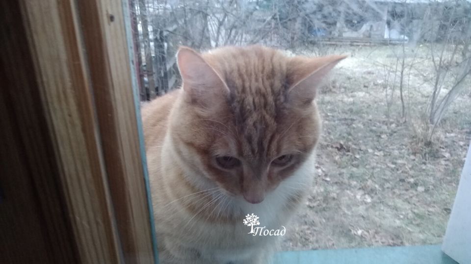 �� ����� ����, ���� �� ������ ���������� � ���