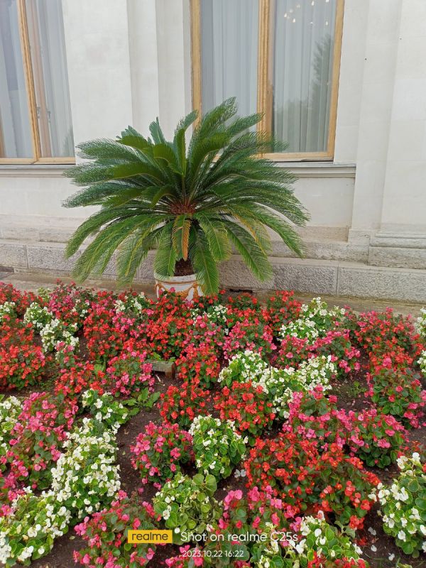 ������ ���������� ���������� ��������: ������ �� ��������� � �������� �����