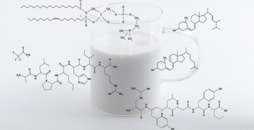 ������: ������ � ���� � ����������� ��������