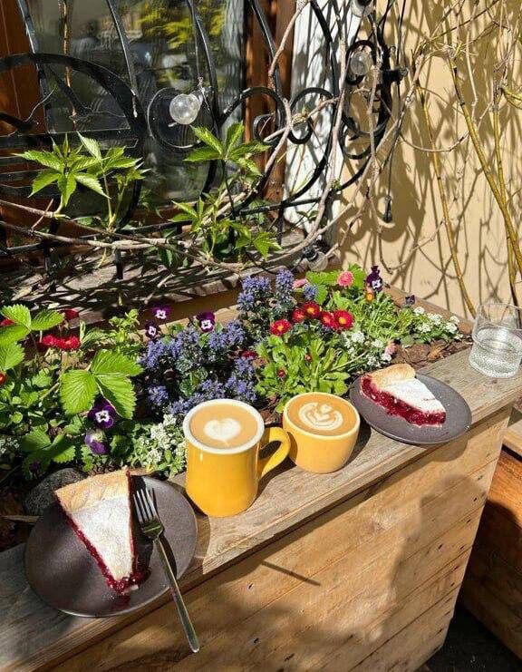 ����������� ���������: ������� ��� ���� ��������� ������� �� �����������