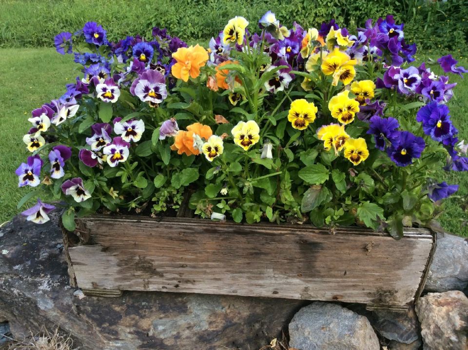 ��� ��������� ������������ ����������: ������� ���������