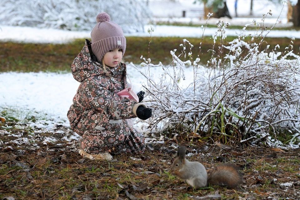 ������ ���� � ������: ��� ���������� ����������� �������� �� ������?